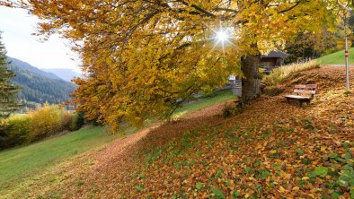 Herbstimpressionen_TVB_Wildschoenau_Dabernig_10_20