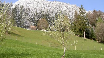 Erste Ferienregion ZillertalKampf der Jahreszeiten