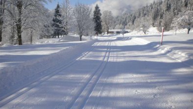 Landschaft Winter