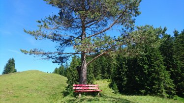 Rastplatz bei der Achentalalm Oberau Wildschönau S