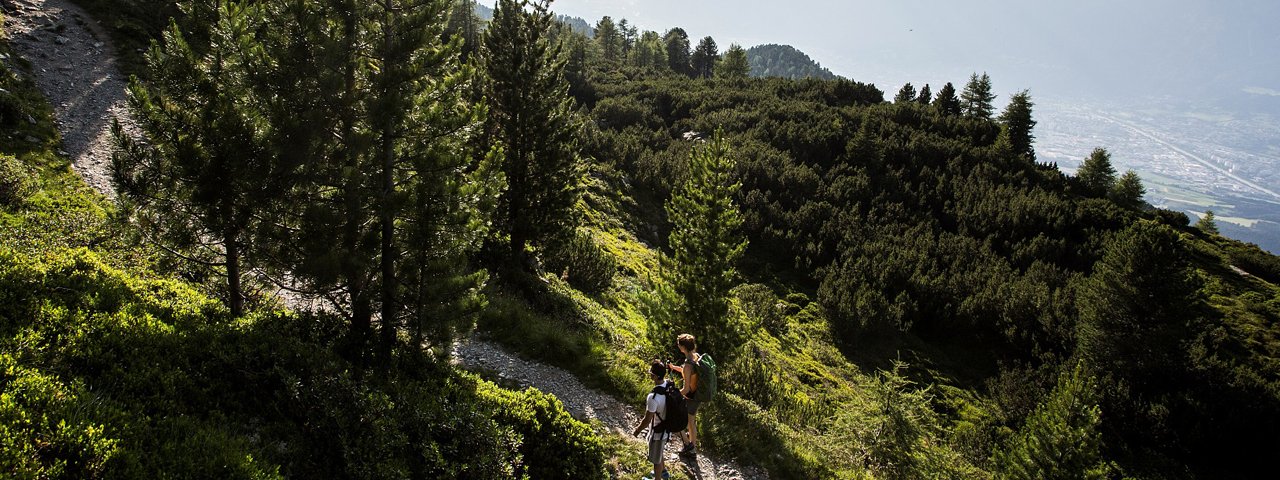 Zirbenweg Trail from Patscherkofel to Glungezer, © Region Hall-Wattens/Daniel Zangerl