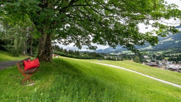 Ferienhaus_Riedlsperger_Lauchseeweg_3_Fieberbrunn_