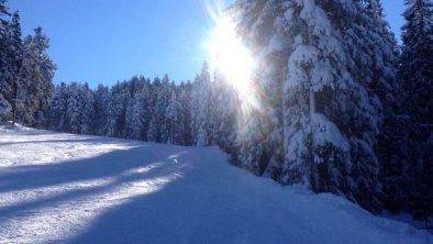 Sportabfahrt Zillertal Arena