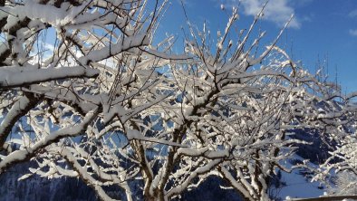 Winterlandschaft, © Aussermooserhof