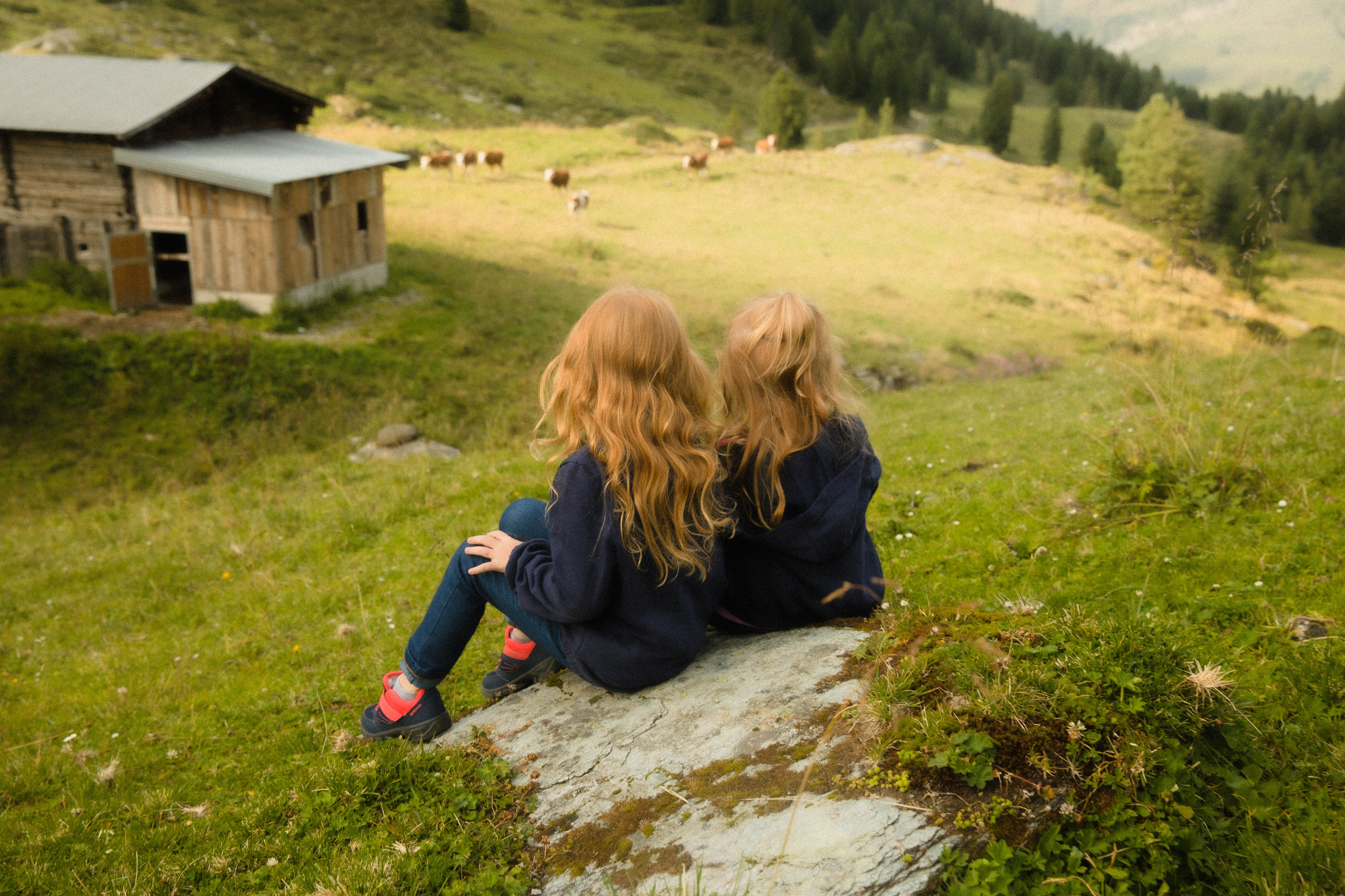 Zwei kleine Mädchen sitzen auf einem Stein und beobachten die Kühe auf der Weide