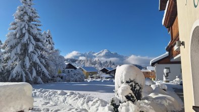 Garten im Winter