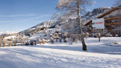 Außenaufnahme_Baum_Berge