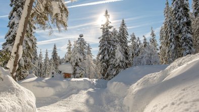 Winterwanderwege, © Region Seefeld