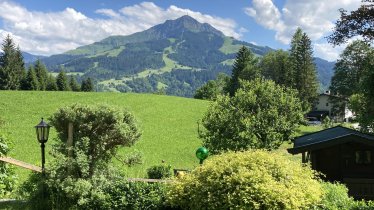 Blick zum Kitzbüheler Horn