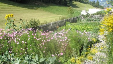 Unser Gemüsegarten