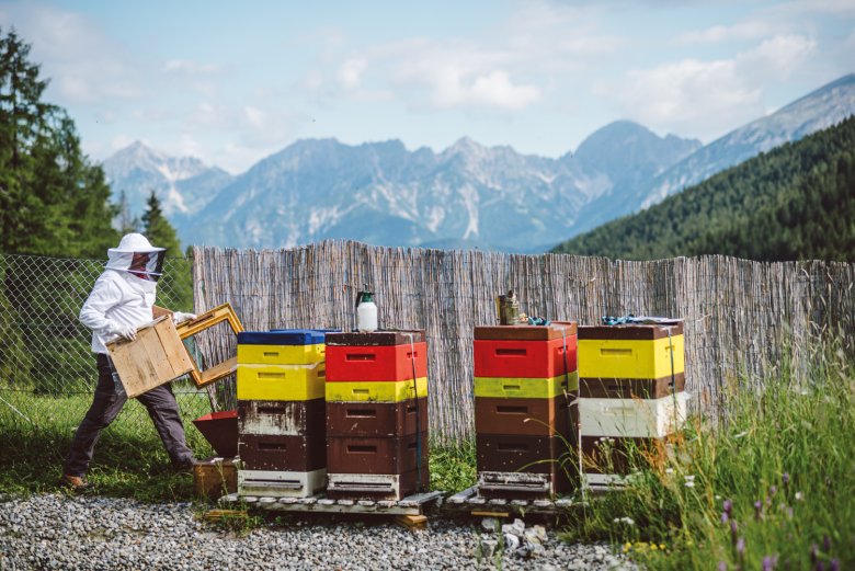 Reinhard Hetzenauer with his beehives in the Axamer Lizum shortly before taking out the honeycombs. In the background you can see the Karwendel mountain range.
