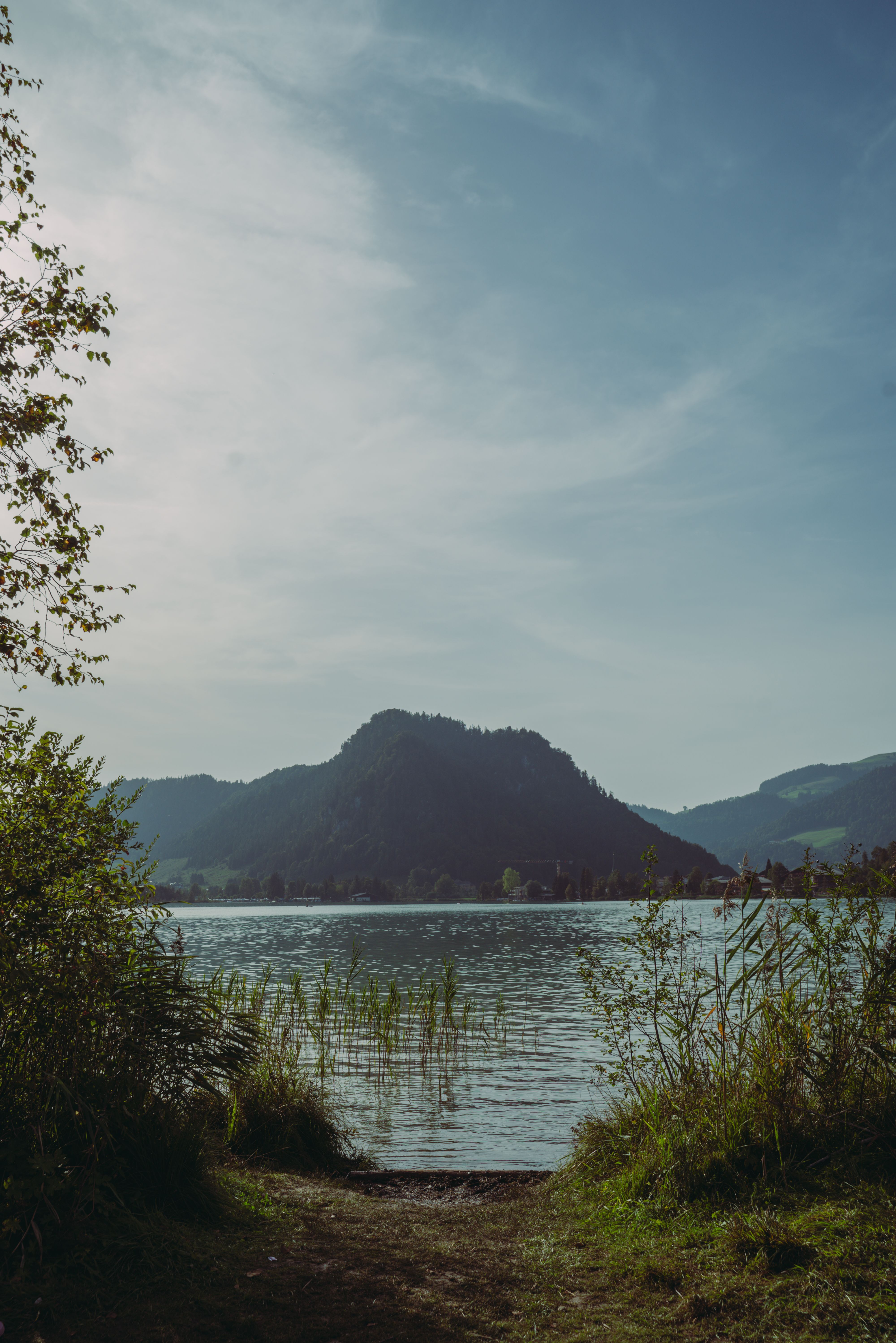 Blick vom Schilfbewachsenen Ufer auf den Walchsee