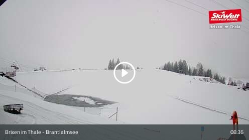 Webcam Brantlalmsee