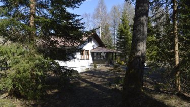 Großer eingezäunter Waldgarten