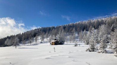 snowshoeing