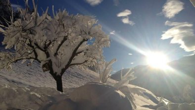 Sonnenstrahlen im Winter