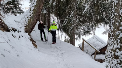 Snowshoe hike Bergblick-Vadiesen