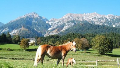 Blick auf die Nordkette