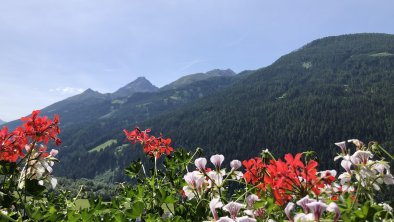 Schlossnerhof mountain vierw, © Ingrid Weiskopf