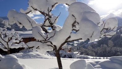 Winterlandschaft