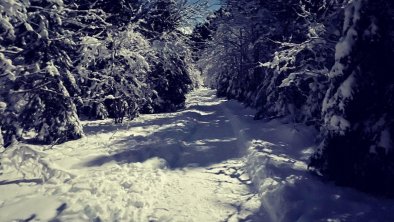 Winterlandschaft