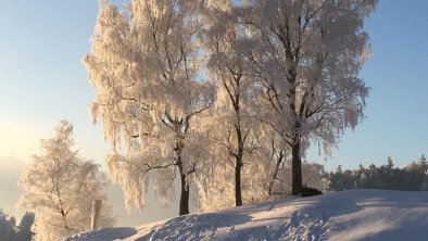 Winterlandschaft