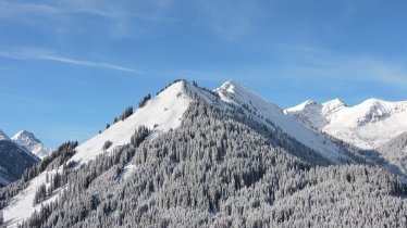 Winter panorama