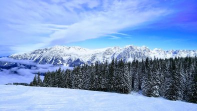 schneebedeckter Kaiser, © Katja Mayer