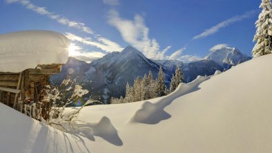 Winter in the Alps