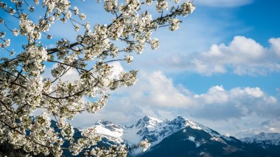 Spring Kitzbühel, © Kitzbühel Tourismus - Michael Werlberger