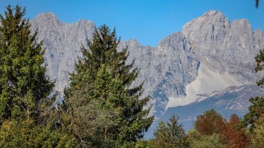 Ausblick Wilder Kaiser