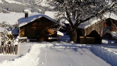 Hütte von hinten 2