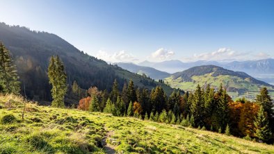 Herbstimpressionen_TVB_Wildschoenau_Dabernig_10_20