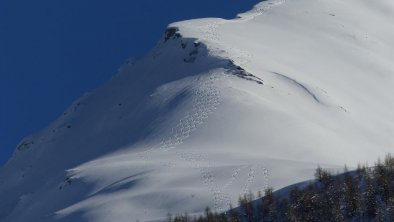 Wedelspuren vom Bergerkogel Prägraten