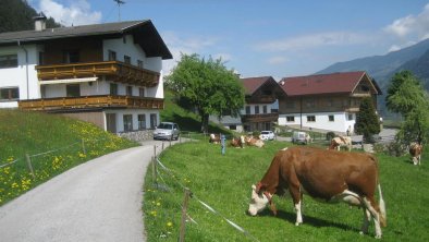 Bahlerhof-Ried im Zillertal-Bauernhof-Sommer