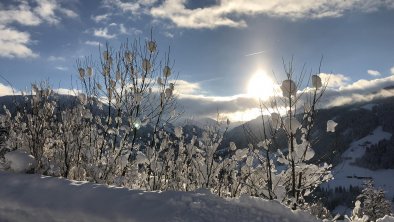 Herrlicher Wintertag mit Neuschnee, © Fam. Mayer