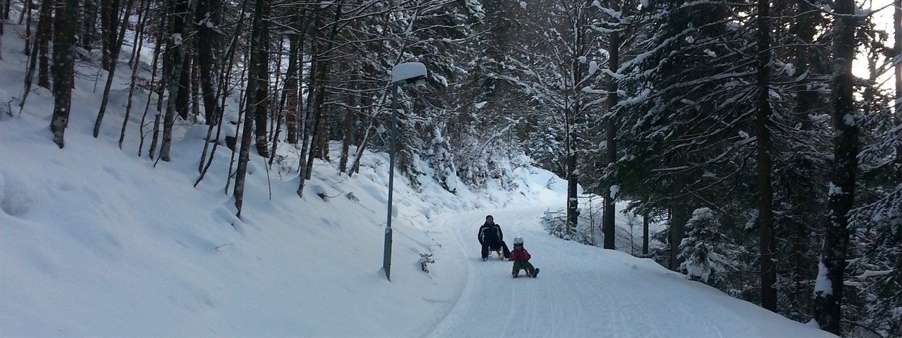 Brandenberg toboggan run, © Alpbachtal Tourismus