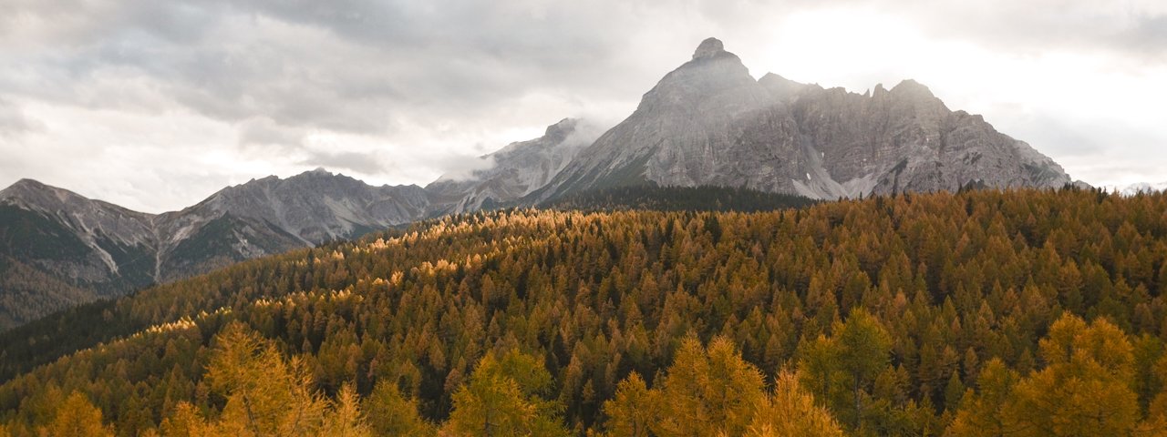 The Eulenwiesen at the foot of the Serles mountain