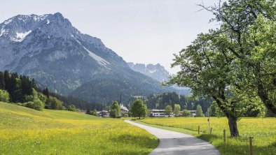 Scheffau Sommer