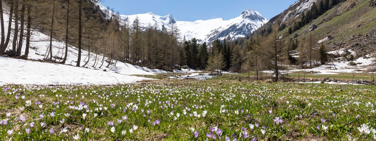 Gschlößtal Va, © Tirol Werbung/Mario Webhofer