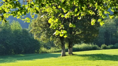 Söll im Herbst 2