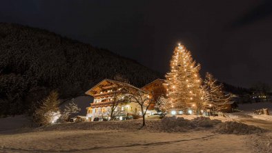 Pension Ladestatthof Christmas