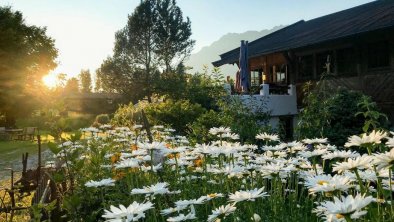 MargeritenSommer