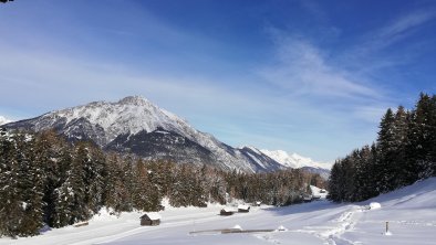 Schneewanderung oberhalb von Wald