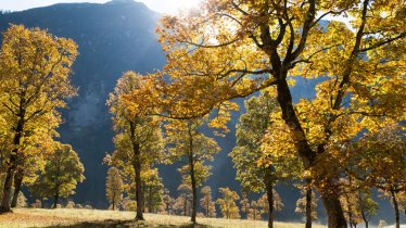 Ahornboden in Eng Valley, © Tirol Werbung/W9 Studios