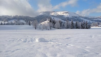 Hochfilzen im Winter