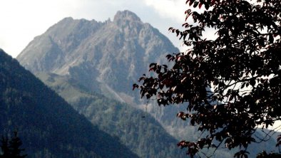 Ausblick zum Großen Rettenstein, © Aschaber