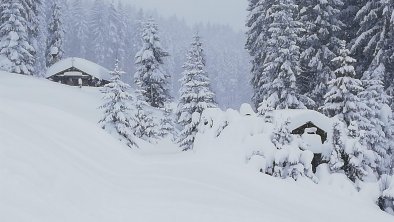 Winterlandschaft an der Tanzernabfahrt v. 04.01.19