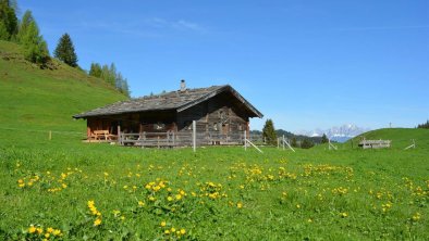 Frühling auf der Alm