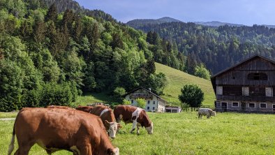 Our farm, © Korberhof